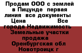 Продам ООО с землей в Пицунде, первая линия, все документы › Цена ­ 9 000 000 - Все города Недвижимость » Земельные участки продажа   . Оренбургская обл.,Новотроицк г.